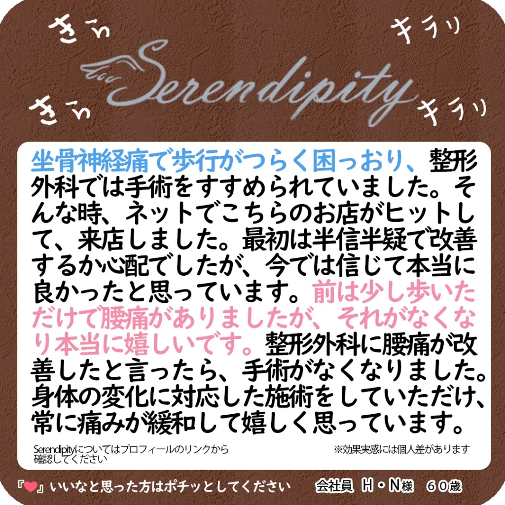 H.N様（60代・会社員）のお客様の声